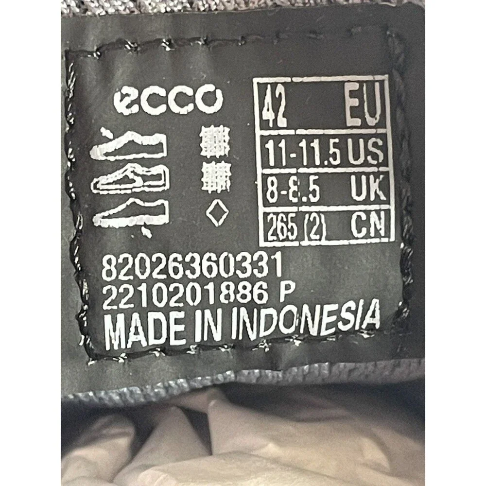 Ecco elevate your